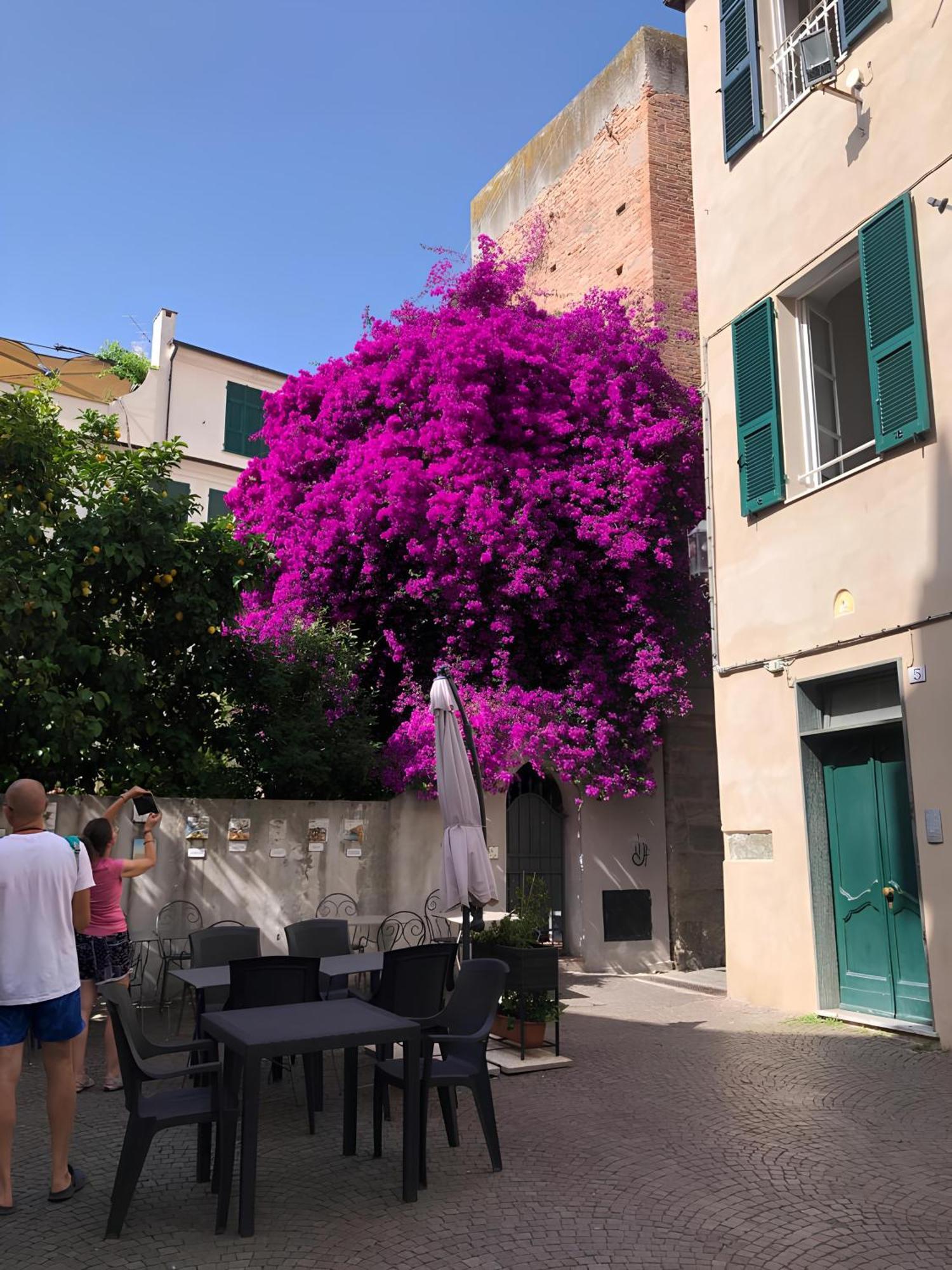 Wonderful Noli - Appartamento Noli Liguria Italia Luaran gambar